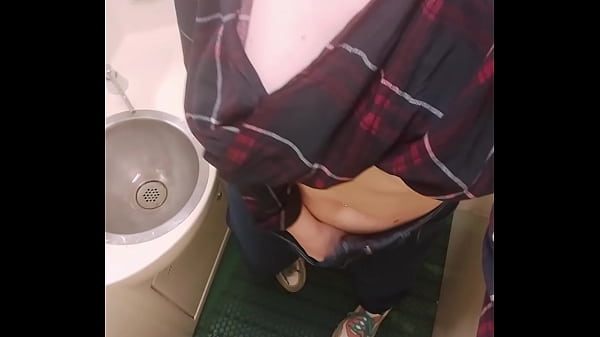 I Masturbate Beaver in the Train Restroom and Recording it on Camera for You